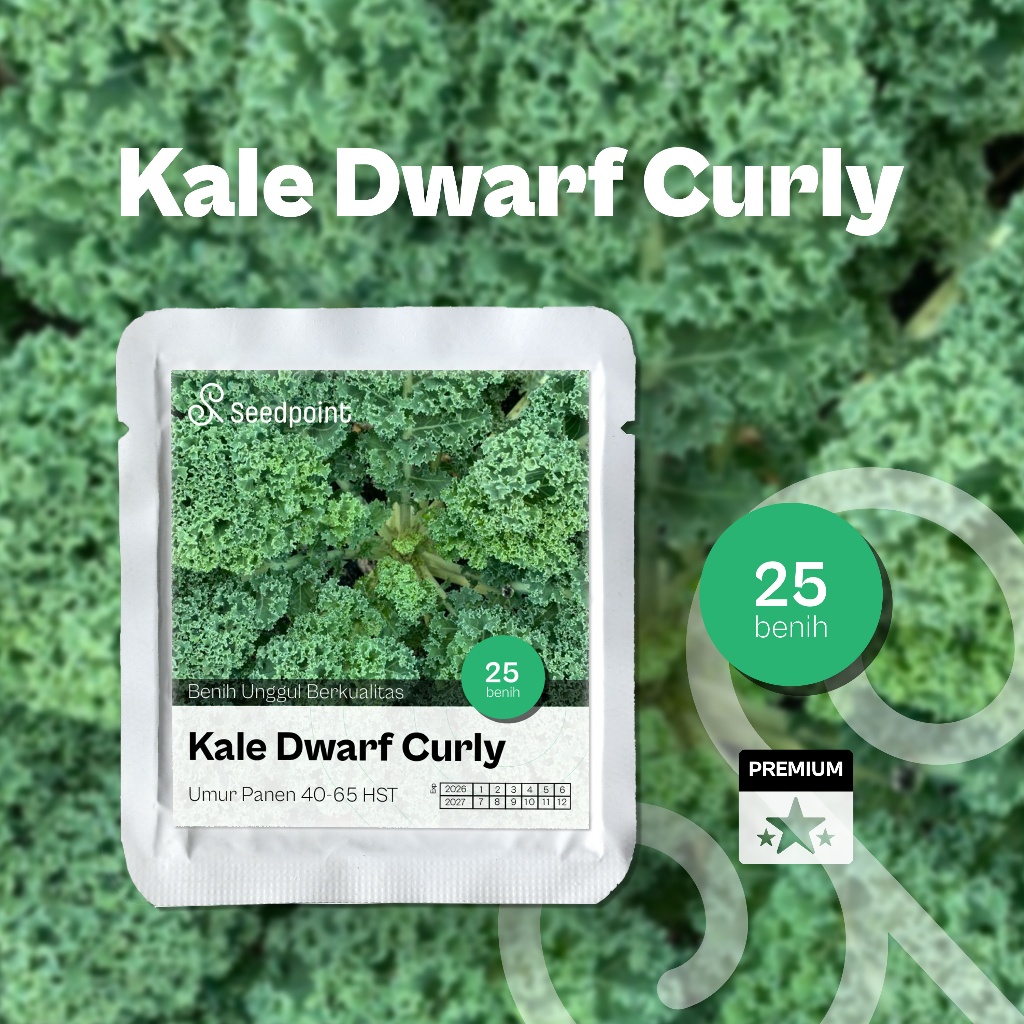 Seedpoint - 25 Benih Daun Kale Hijau Green Dwarf Curled