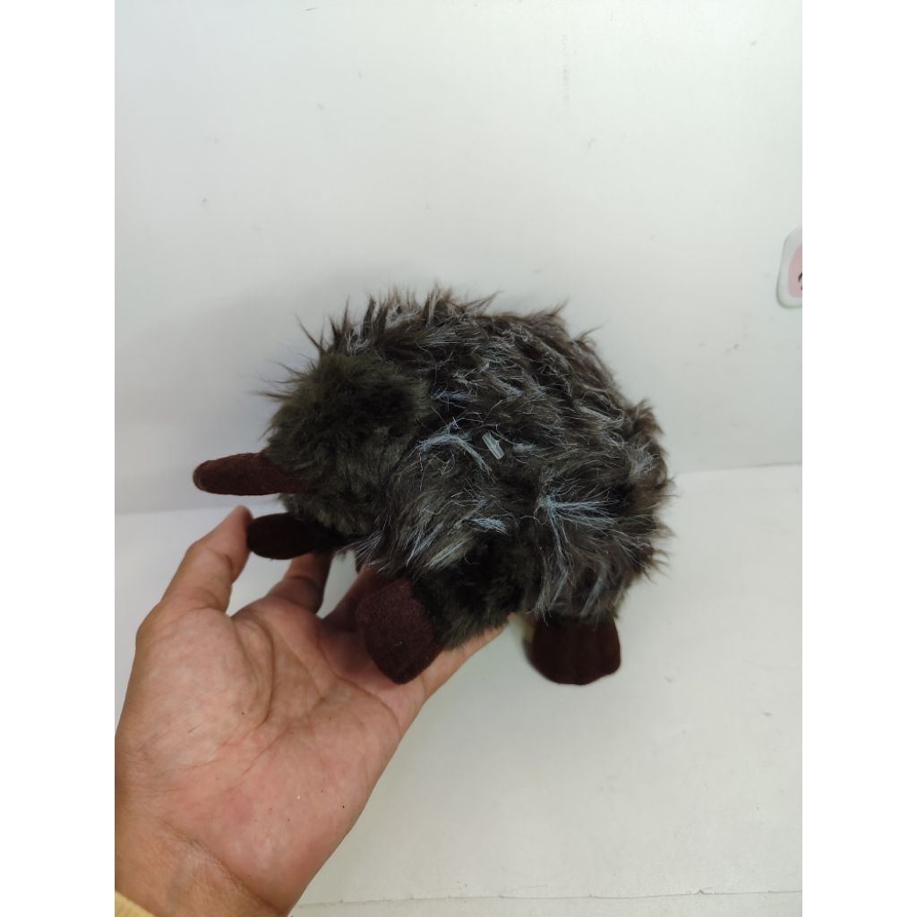 boneka ekidna landak mini Australia