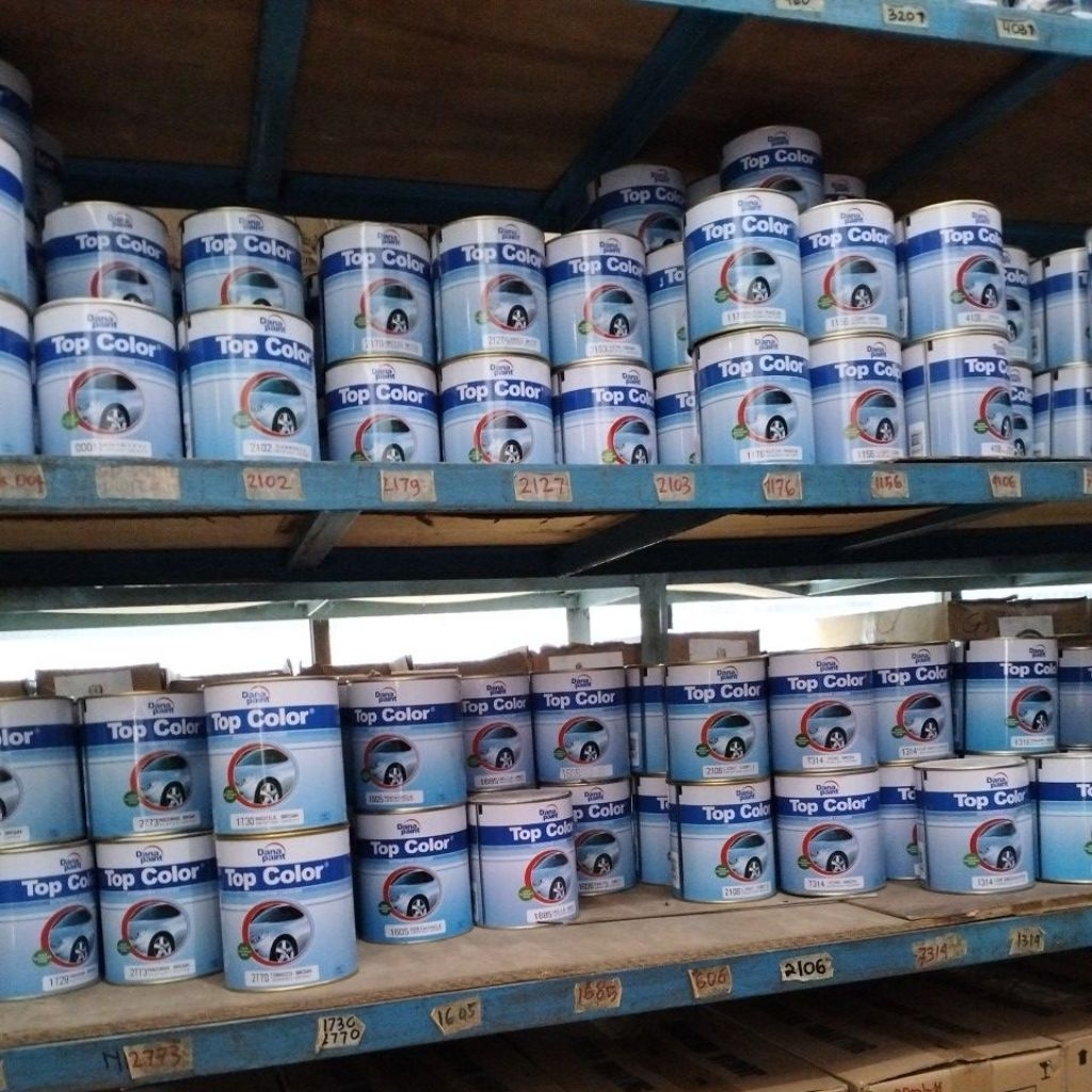 CAT BESI DANA PAINT TOP COLOR