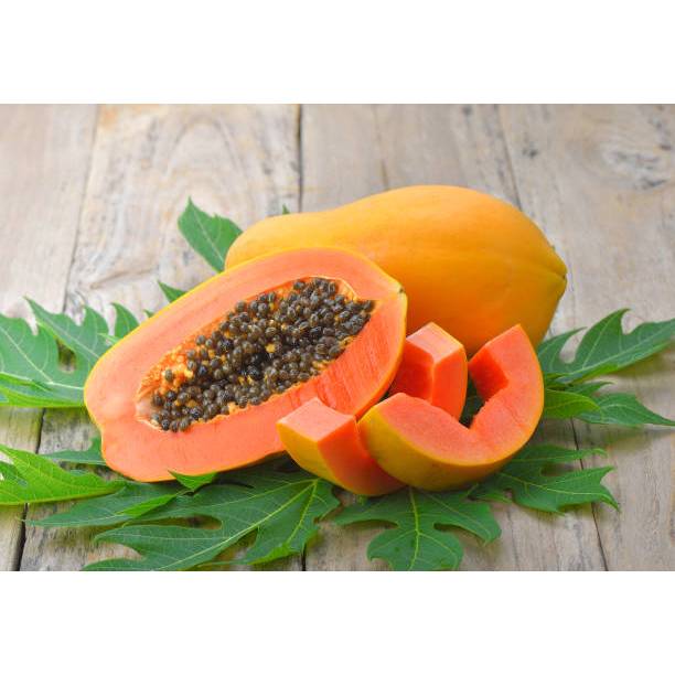 KEBUN INDAH BENIH BUAH PEPAYA BANGKOK