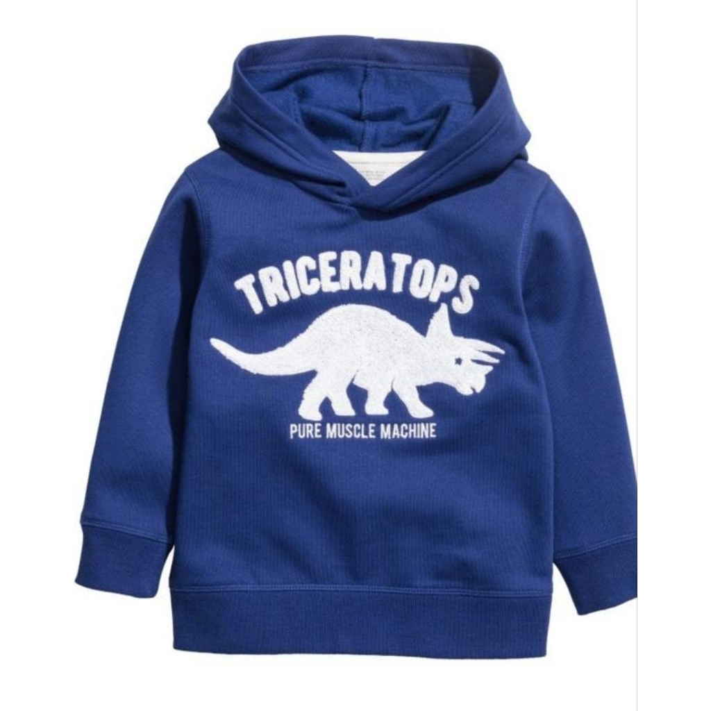 HNM HM JAKET ANAK HOODIE DINOSAURUS DINO TRICERATOPS HUDI MANTEL ORI STORE PL ORIGINAL