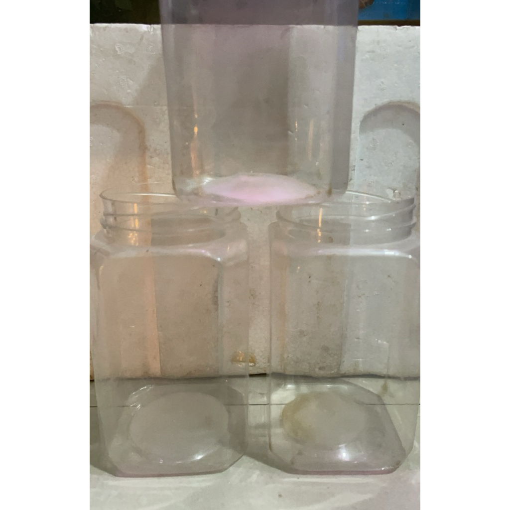 Toples Cupang 2 liter Bekas