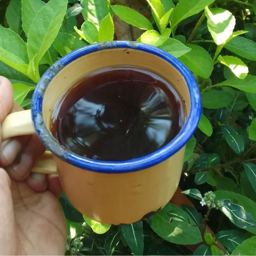 HALAL TEH TISANE KULIT CACAO HUSK NIBS COKLAT