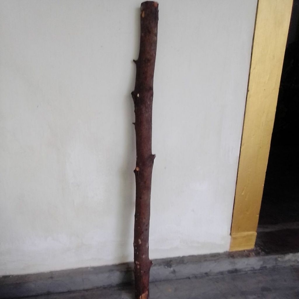 Kayu Cendana Asli bahan tongkat