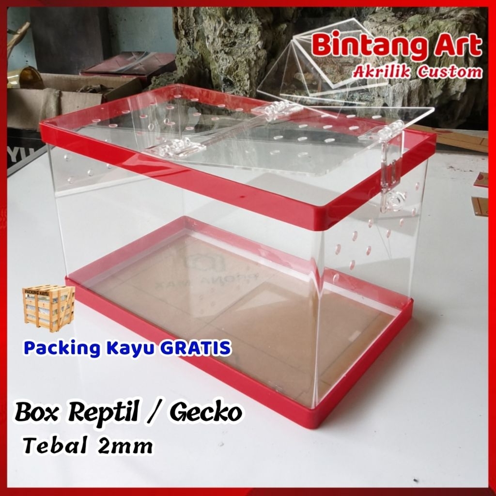 Box reptil / kandang hewan / kandang gecko