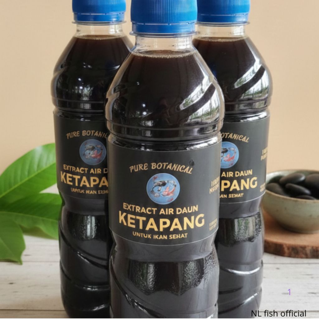 ekstrak daun ketapang/ekstrak ketapang alami