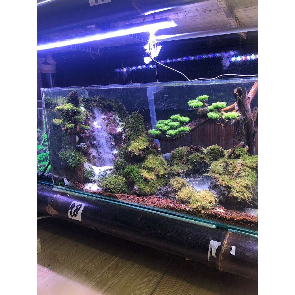 aquascape murah tema waterpall size 60x30x30 cm fullset tinggal isi air aja