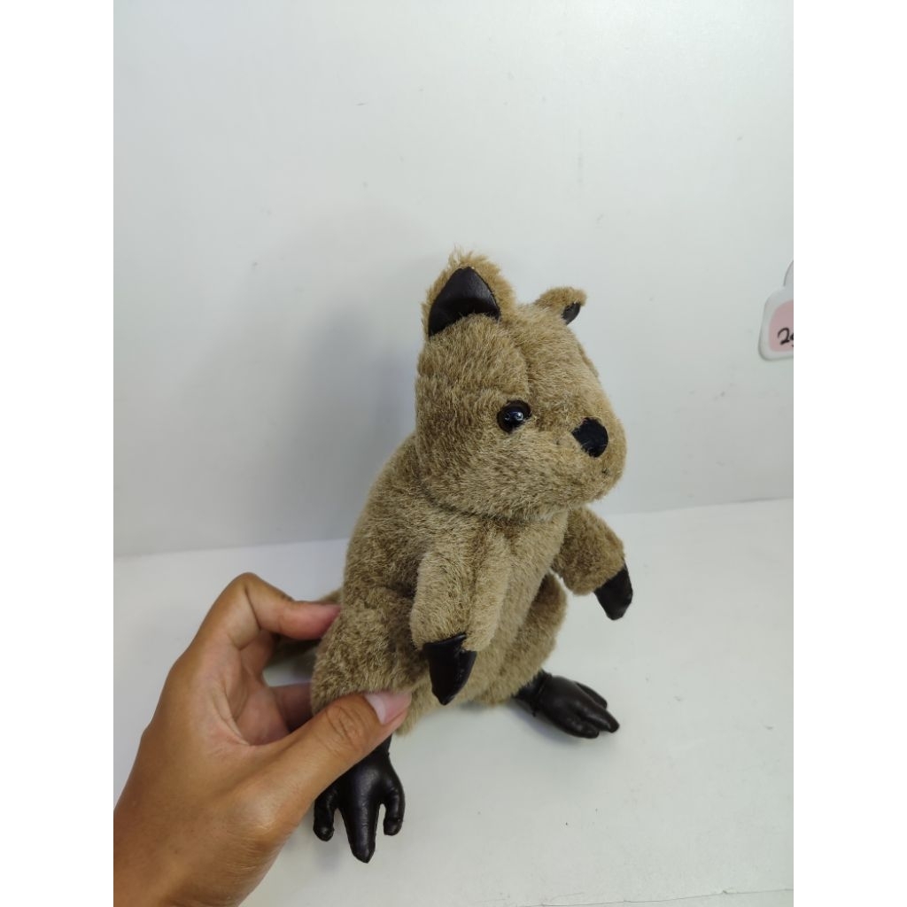 boneka Quokka Australia animal kangguru mini Australia original