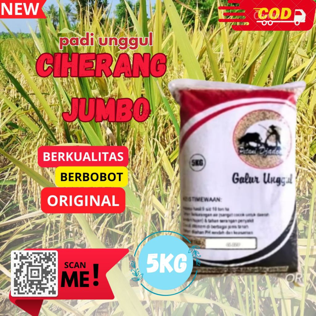 benih bibit padi Ciherang jumbo kemasan 5kg kualitas premium