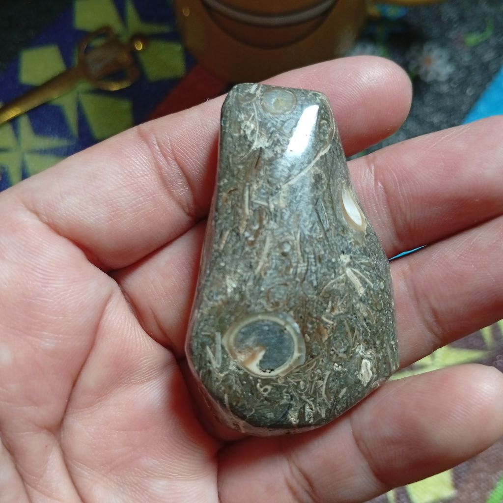 batu posil keong purba sudah poles untuk koleksi no.2
