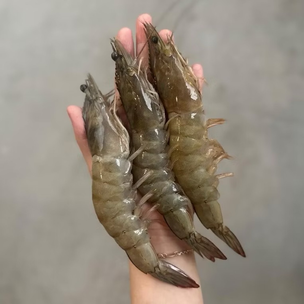 [UDANG VANAME] Jumbo Premium Size 20-25 1 Kg - Halal Segar Vacuum Pack