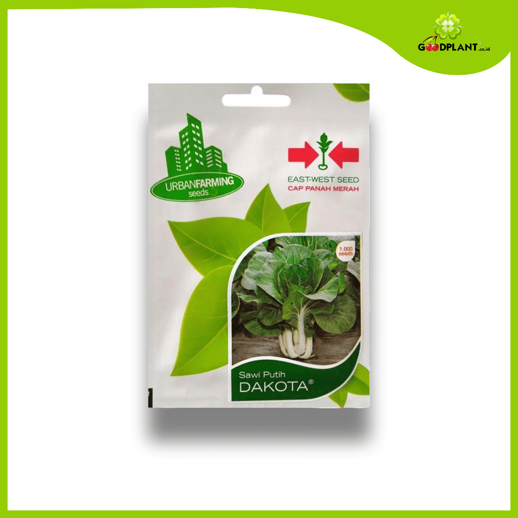 Panah Merah Small Sawi Putih Dakota