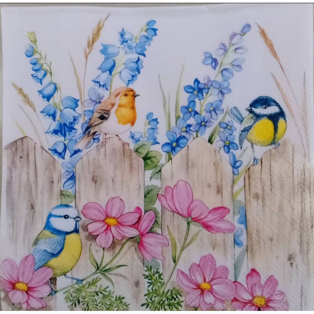 Tissue Decoupage Eropa