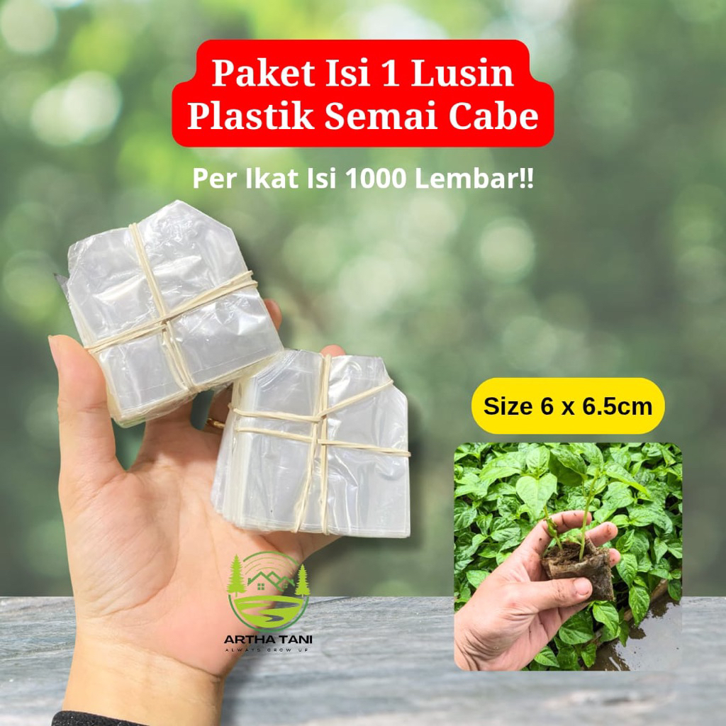 Grosir 1 Lusin Polybag Semai Cabe Isi Ratusan Lembar-Polybag Semai Cabe Paket 1 Lusin-Isi 12 Ikat Po