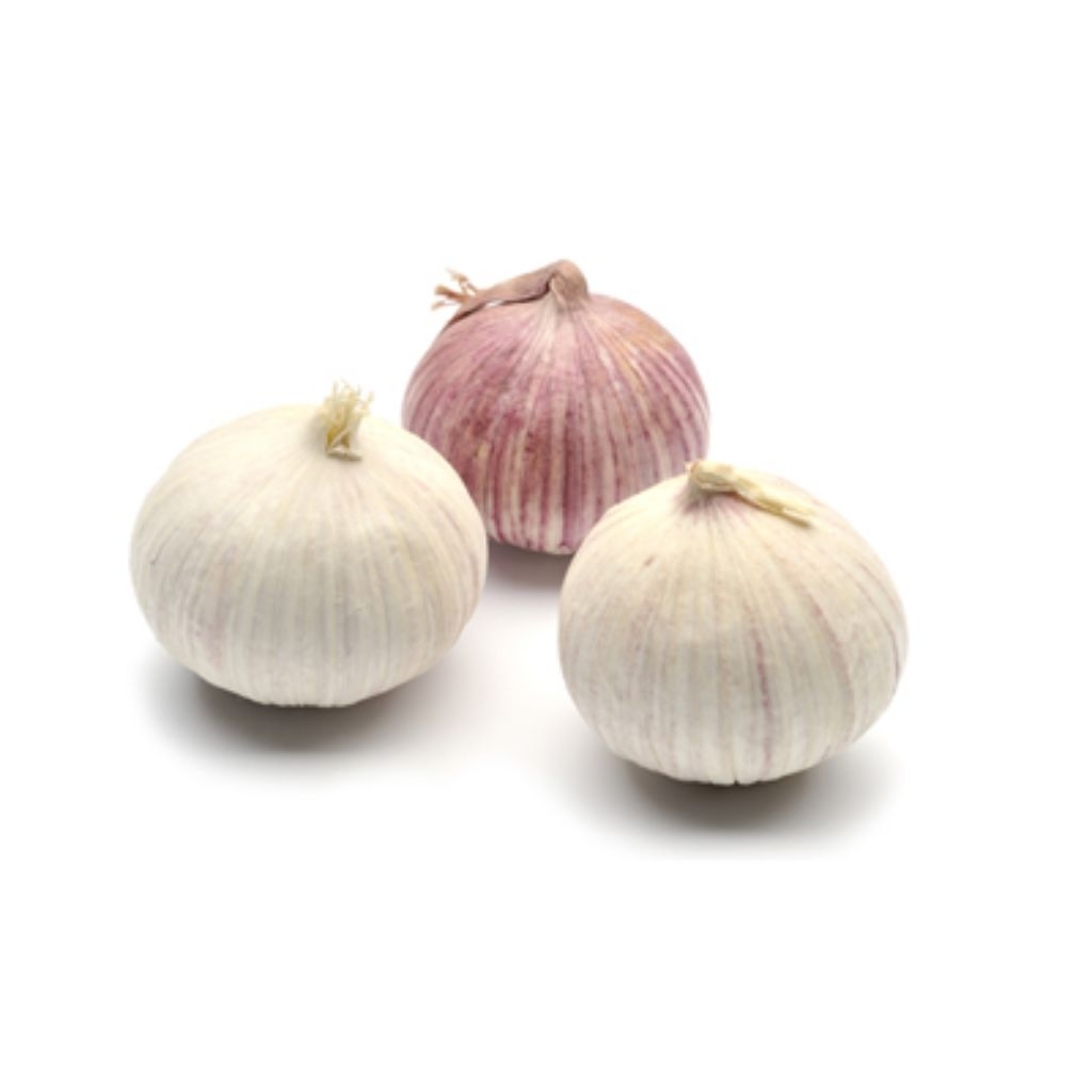 Bawang Putih Tunggal 1 KG