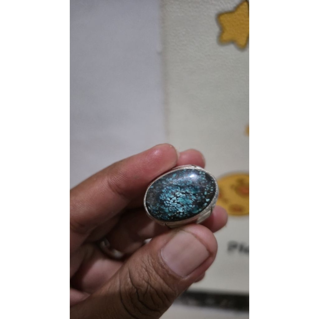 Natural Pirus Hubei/Xinjiang Biru Semangka