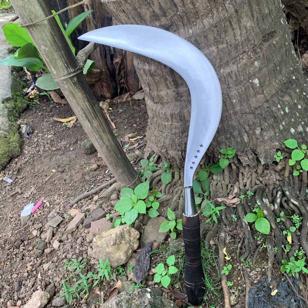 alat bertani aret rumput asli baja per siap pakai khas Madura