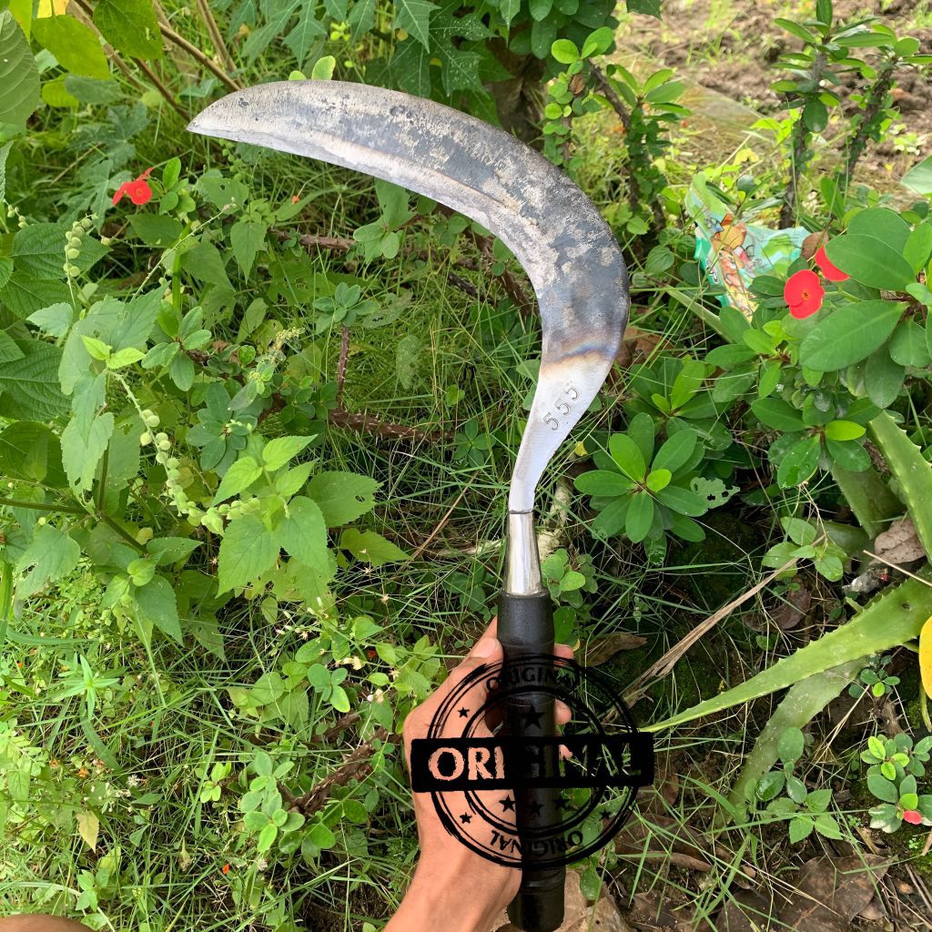 sabit rumput madura asli full baja super tsjam siap pakai