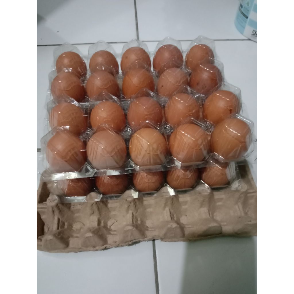 Telur ayam 1mika isi 10 butir