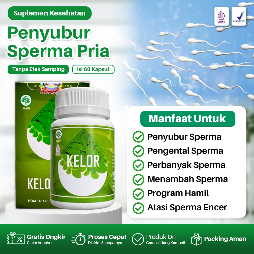 KELOR Vitamin Penyubur Sperma Pria Ampuh Pengental Sperma Encer Kosong Azoospermia Alami Halal BPOM