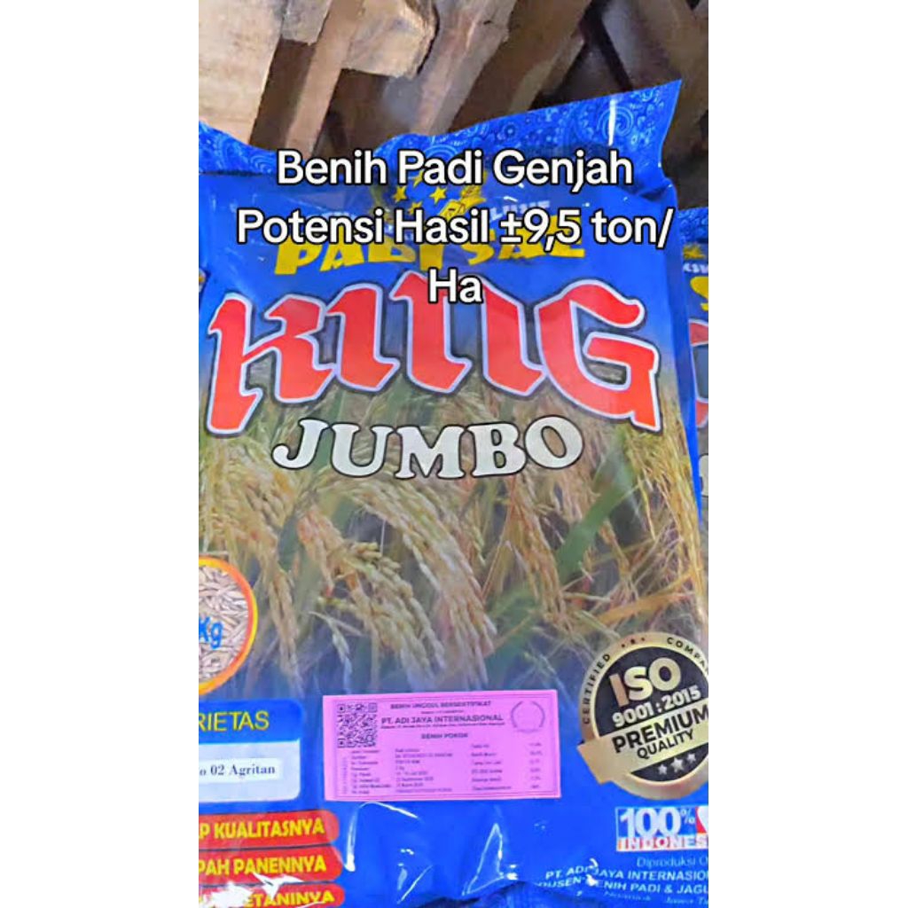 Benih padi BK Situbondo 02 label ungu 5 kg