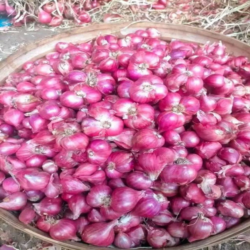 Bawang Merah 1 Kg