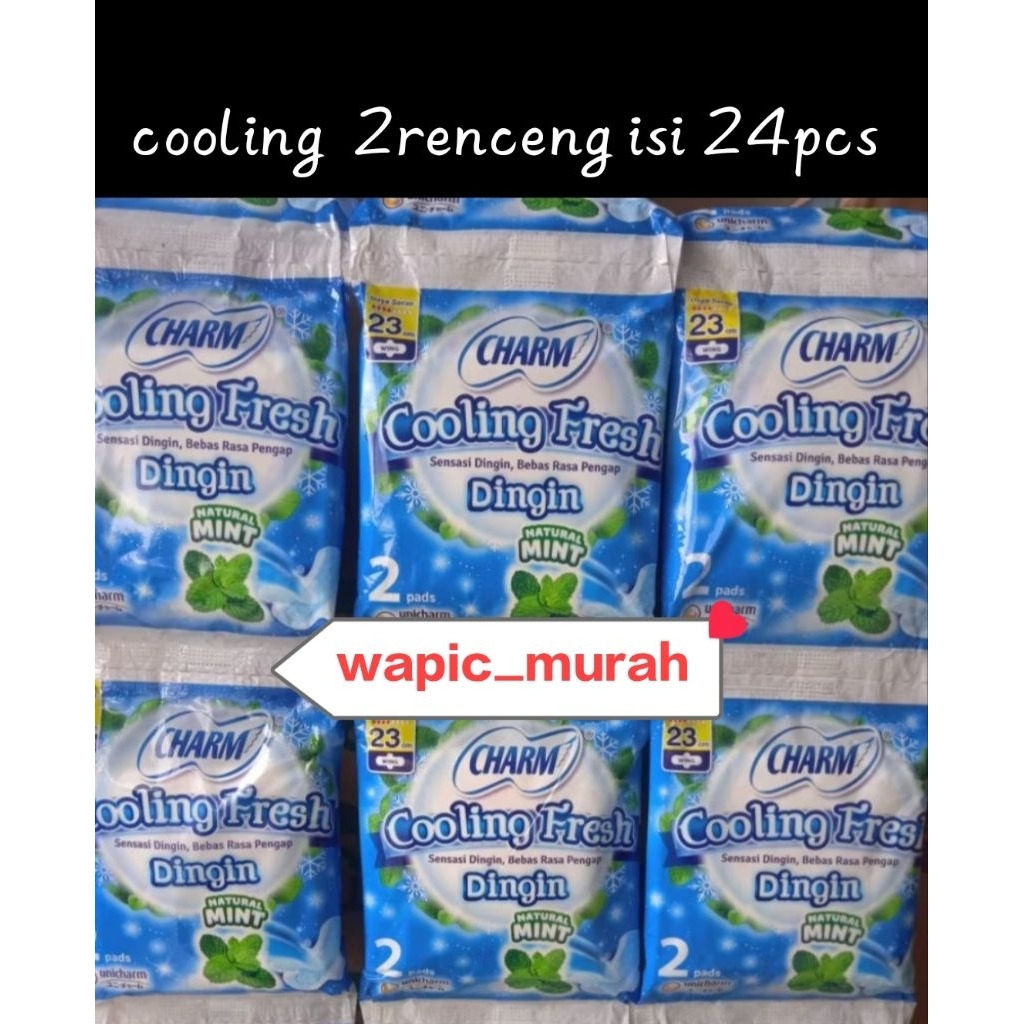 charm cooling fresh 23cm 1RENCENG= 6SACHET/12PCS