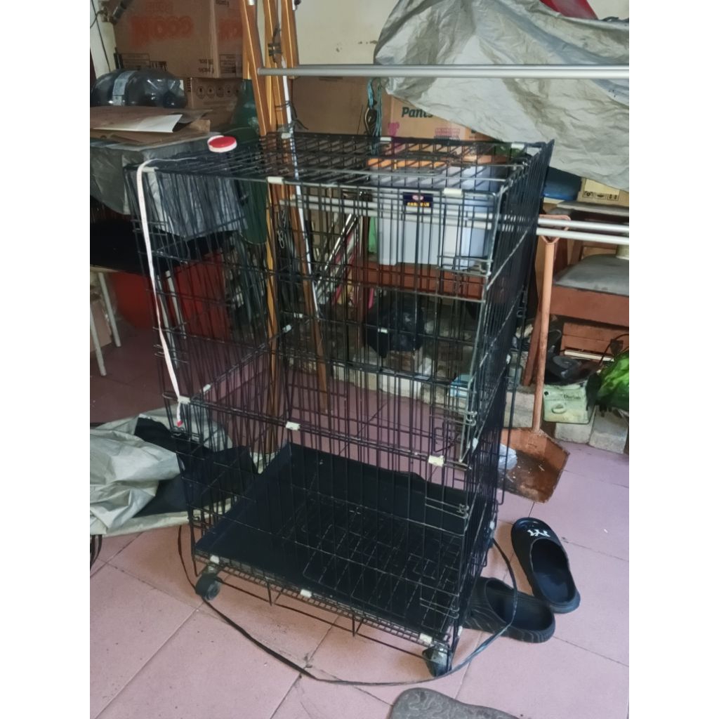 kandang burung ukuran L=40cm x P=58cm x T=97cm kandang hewan kandang kucing kandang ayam kandang anj