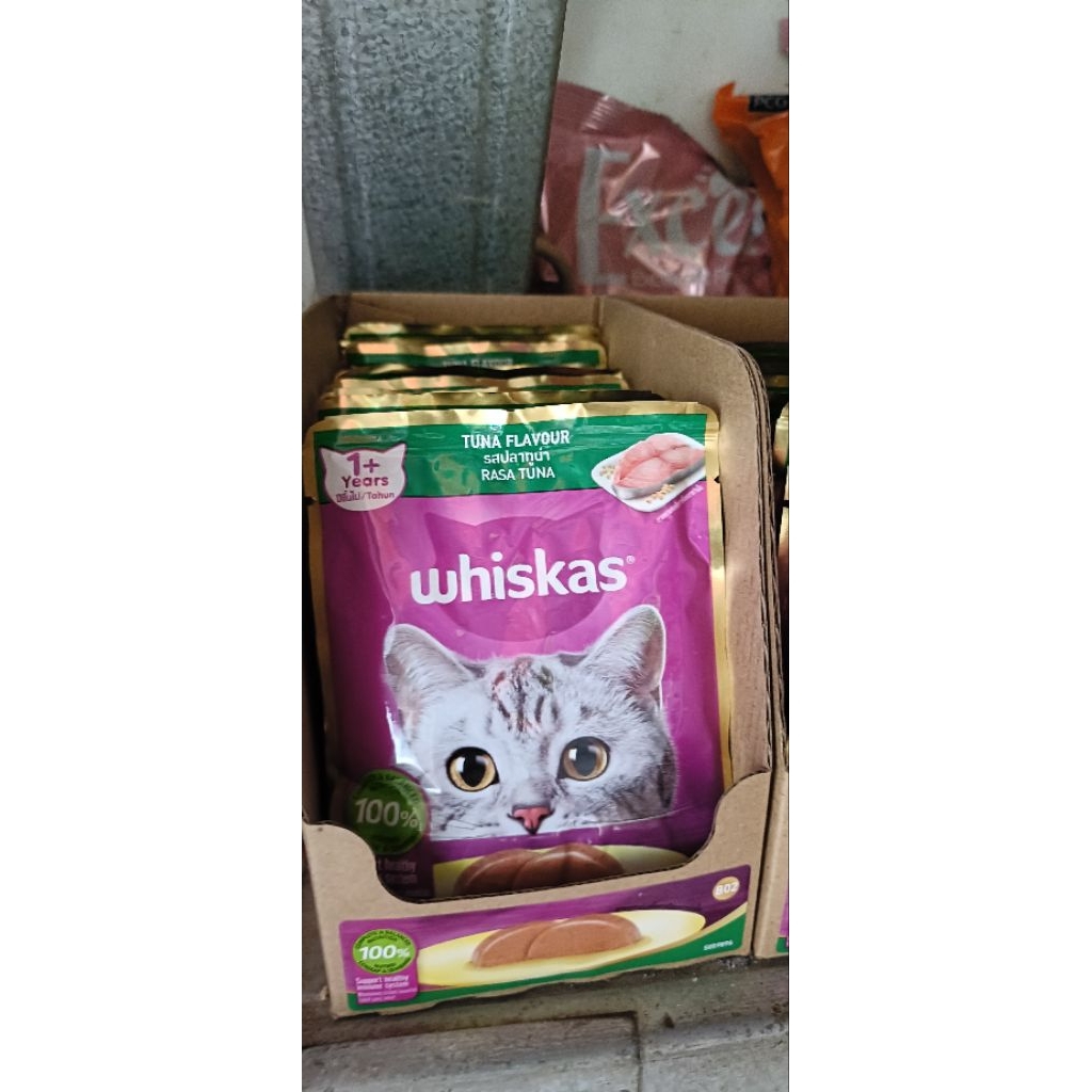 whiskas basah sachet