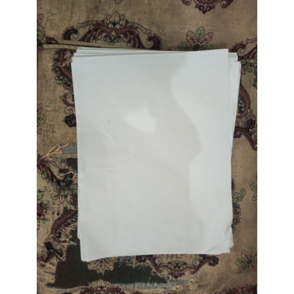 kertas bungkus nasi Padang polos