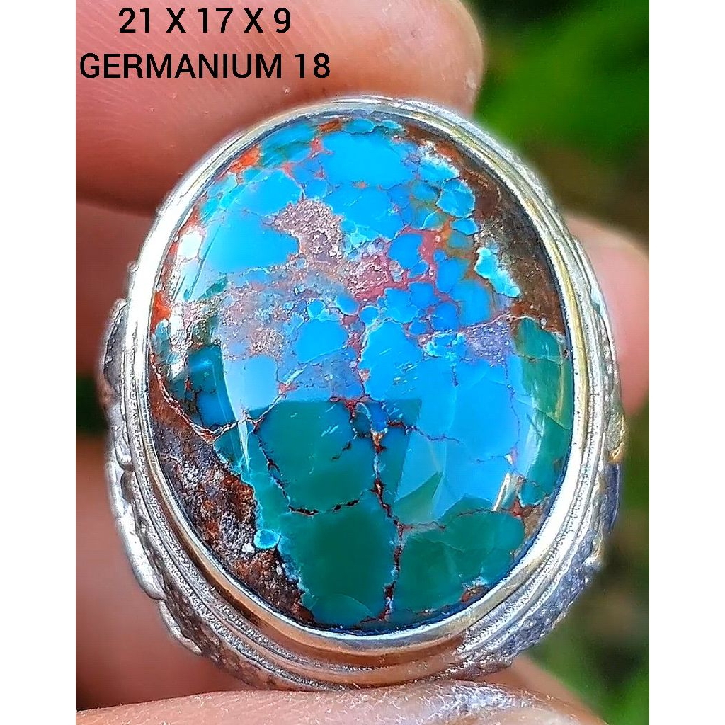 pirus Persia lawasan hijau 23