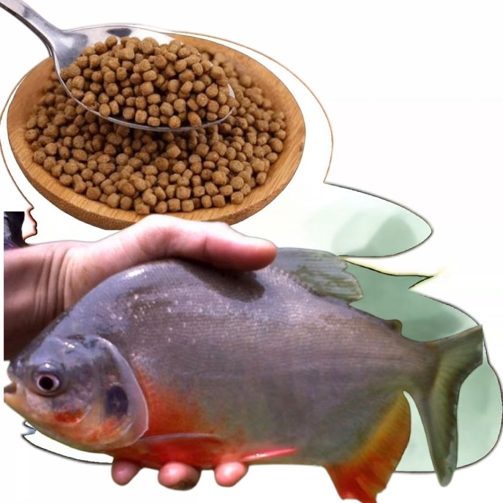 100 Gram pakan ikan Bawal Pelet ikan Bawal