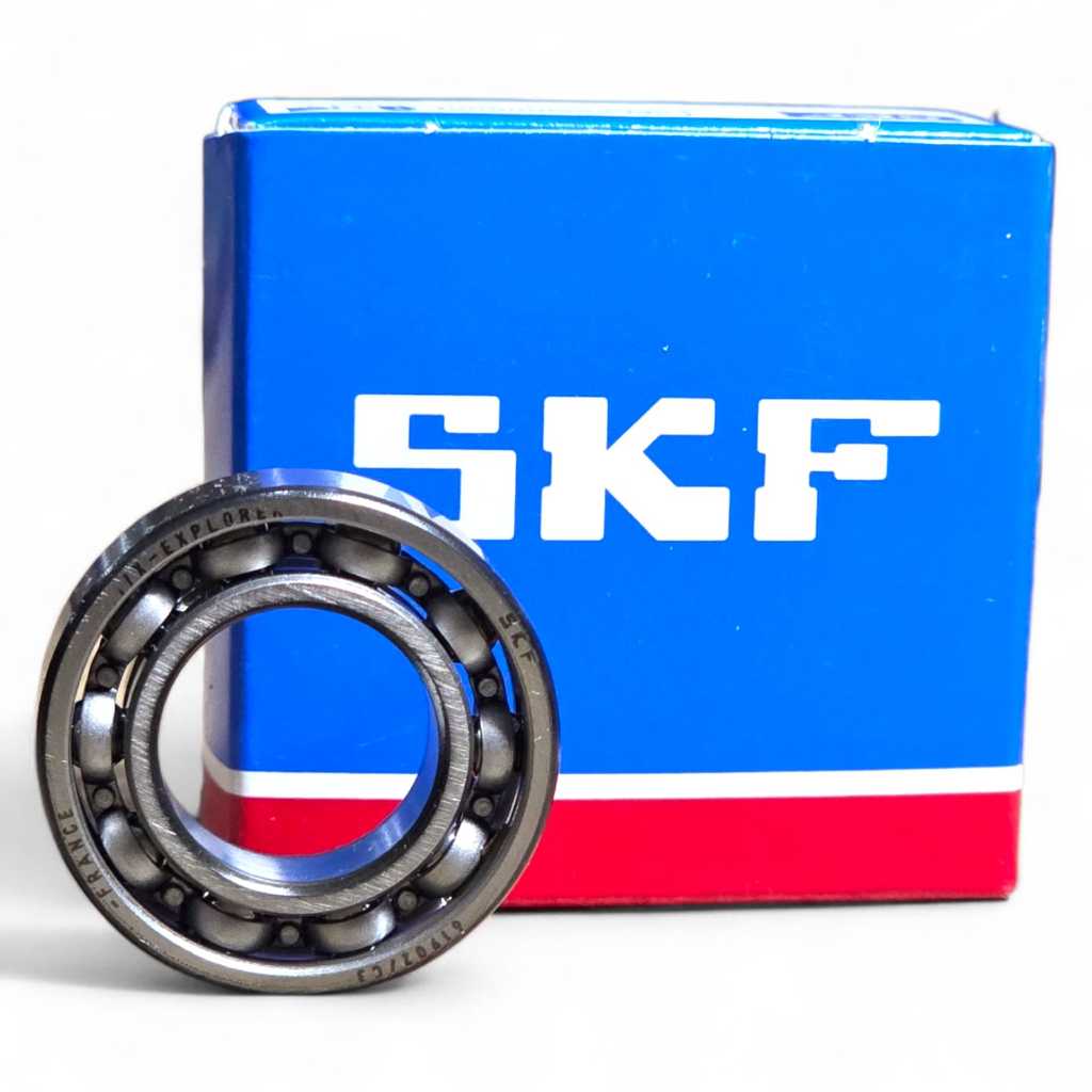 BEARING LAHER 6902 C3 SKF PRANCIS