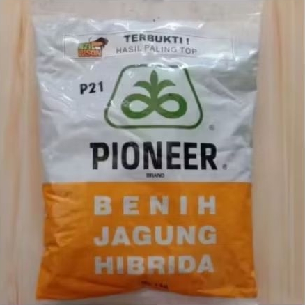COD BENIH JAGUNG HIBRIDA PIONEER P21 KEMASAN 1KG