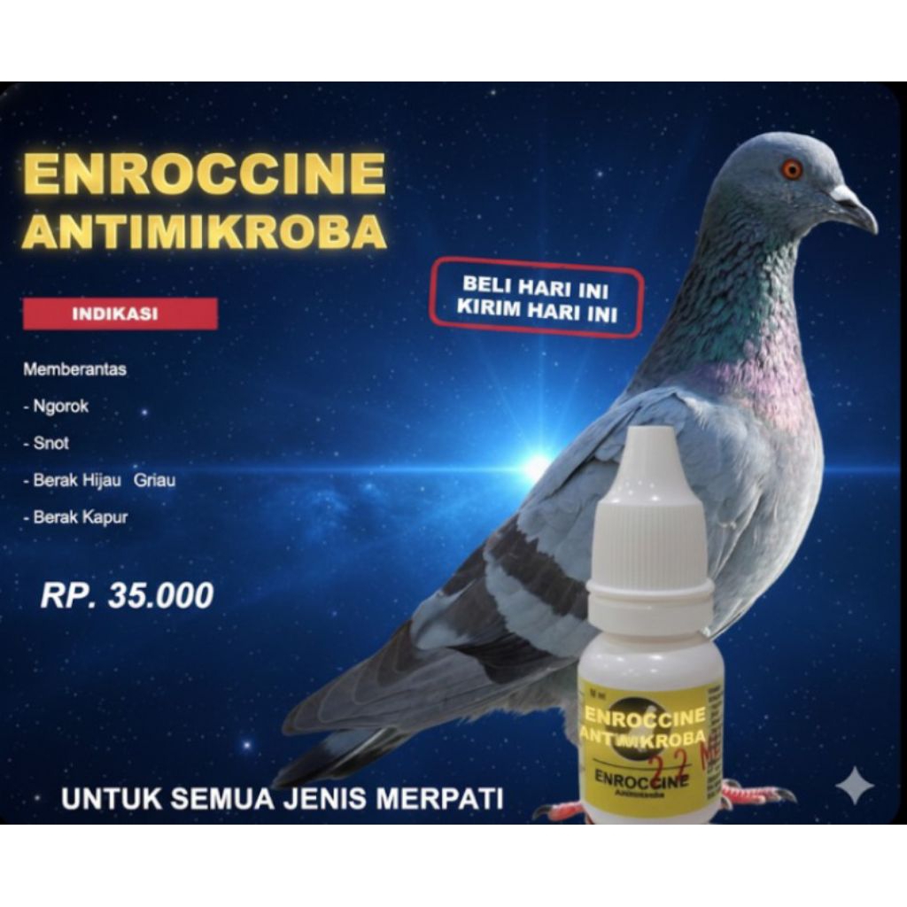 ENROCCINA OBAT MERPATI UNTUK MENGOBATI BURUNG SAKIT  SNOT NGOROK BERAK HIJAU & KAPUR
