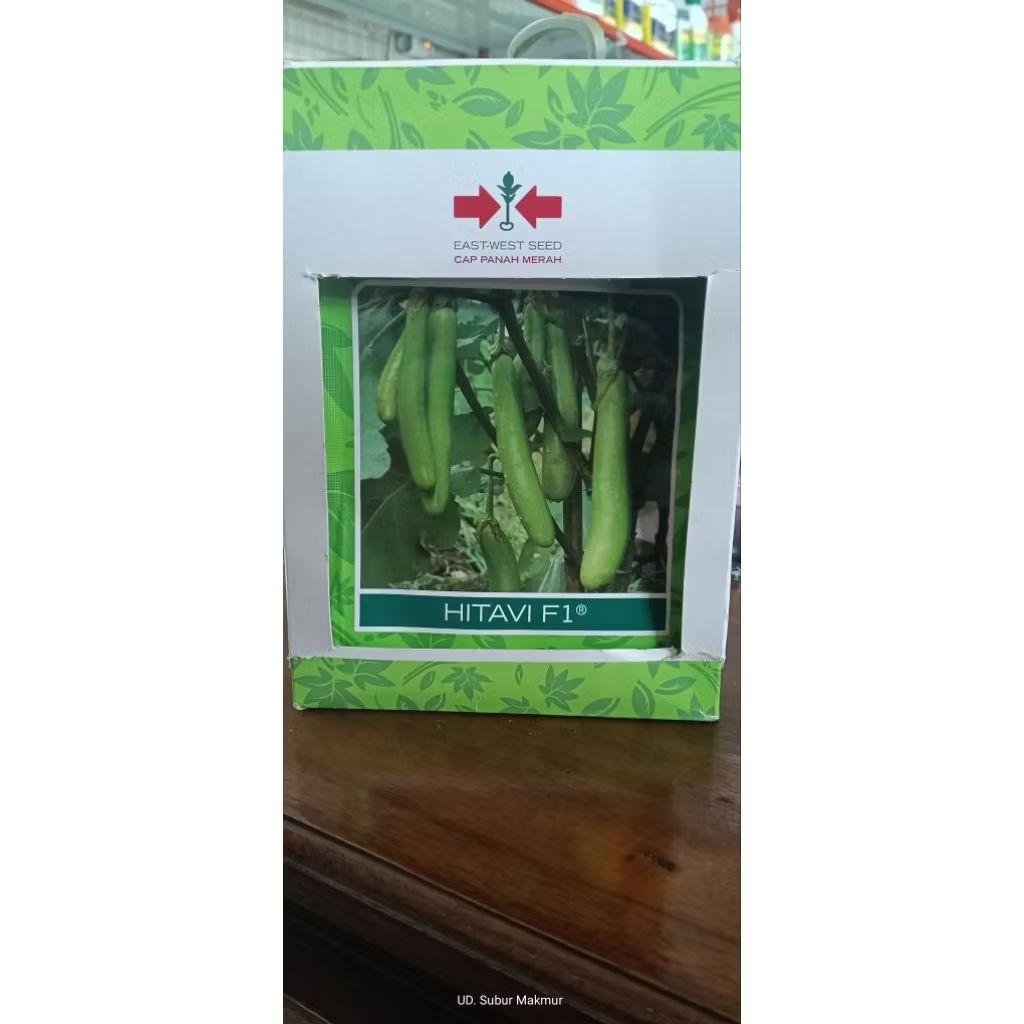 Benih Terong Hijau Hitavy F1