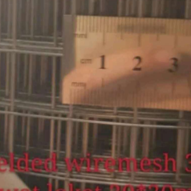 Welded Wire Mesh Kawat Loket 3/4 (20mm x 20mm)