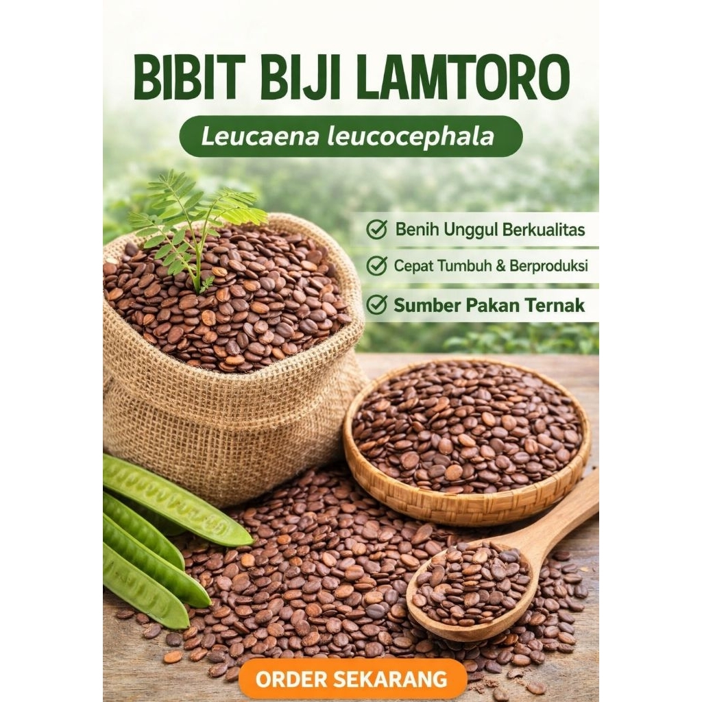 Bibit Biji LAMTORO