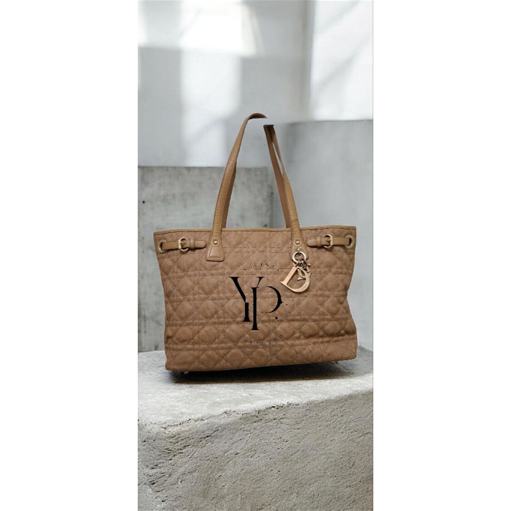 Dior Tote Bag Authentic