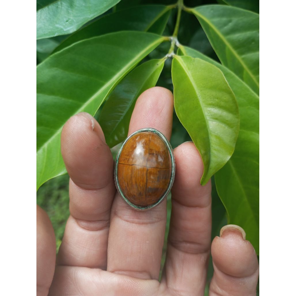 Cincin Batu Tapak Jalak
