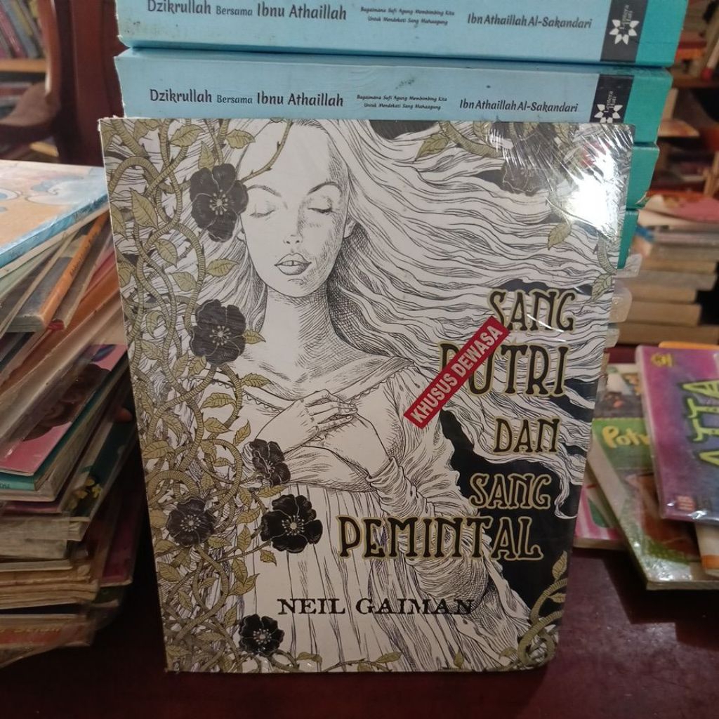 SANG PUTRI DAN SANG PEMINTAL ,NEIL GAIMAN