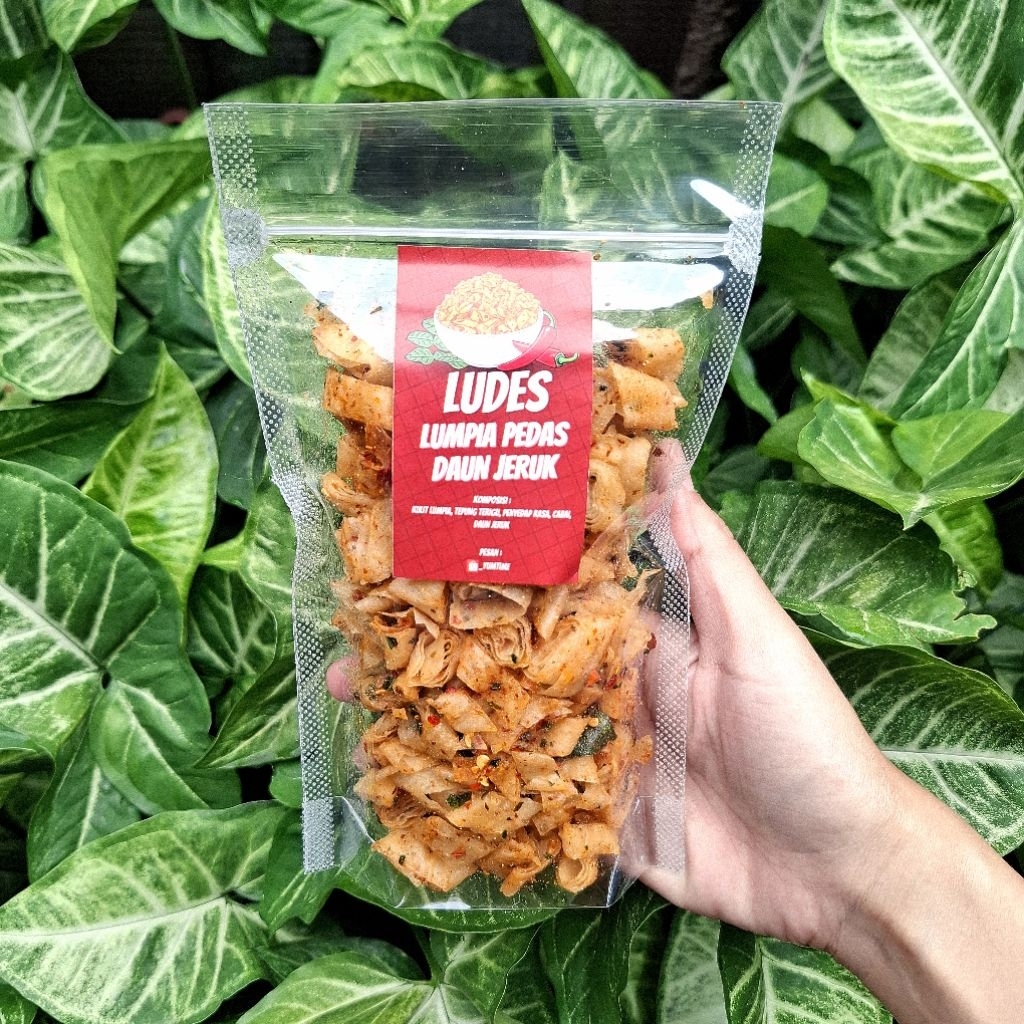 Keripik Ludes/Keripik lumpiah
