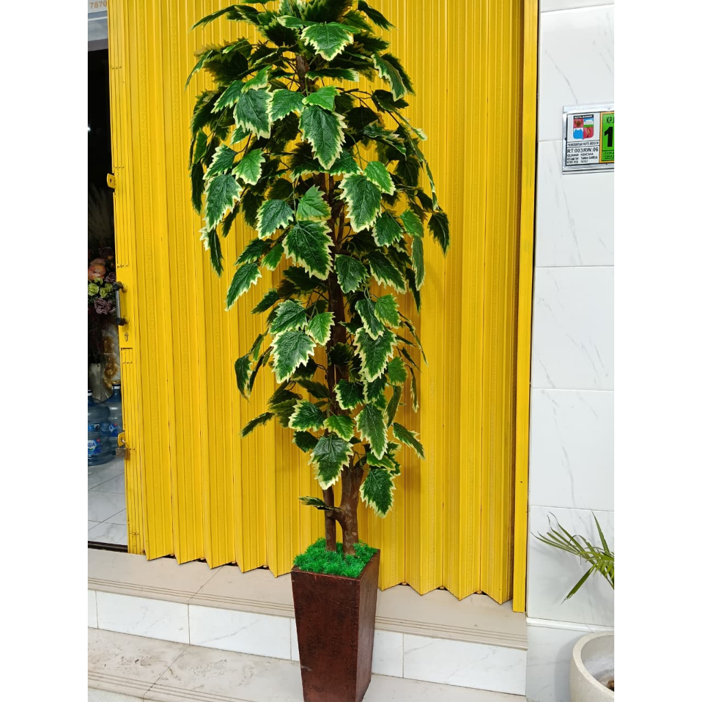 pohon grigi artificial premium tinggi 2m lengkap pot