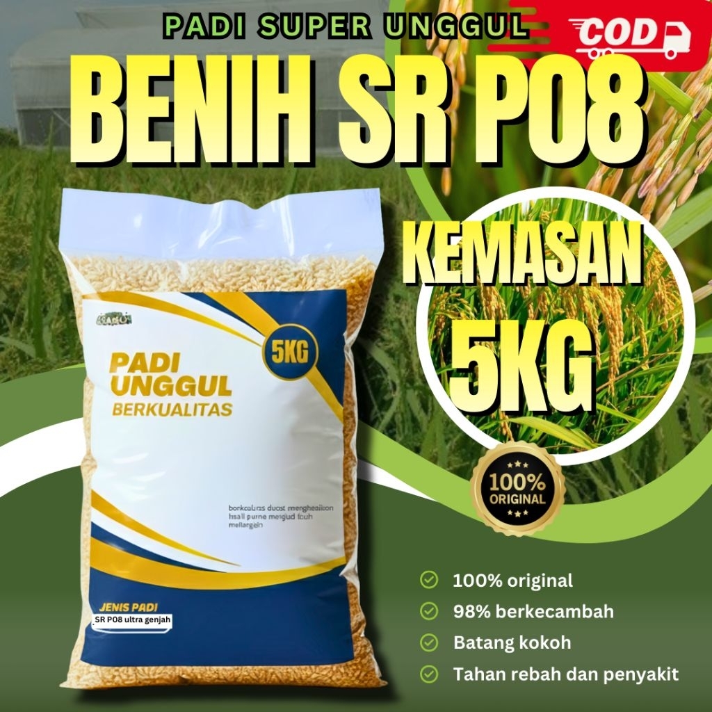 benih padi sr p08 ultra genjah 5kg