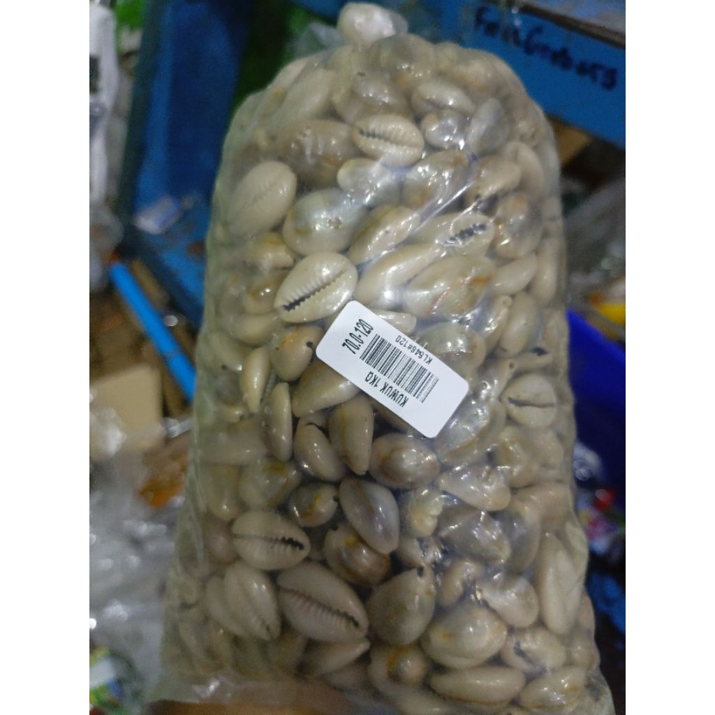 MAINAN KUWUK 1KG / MAINAN KUWUK CONGKAK/KUWUK KERANG 1 KG