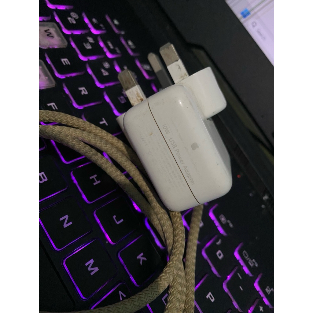 Charger Original Apple 10W