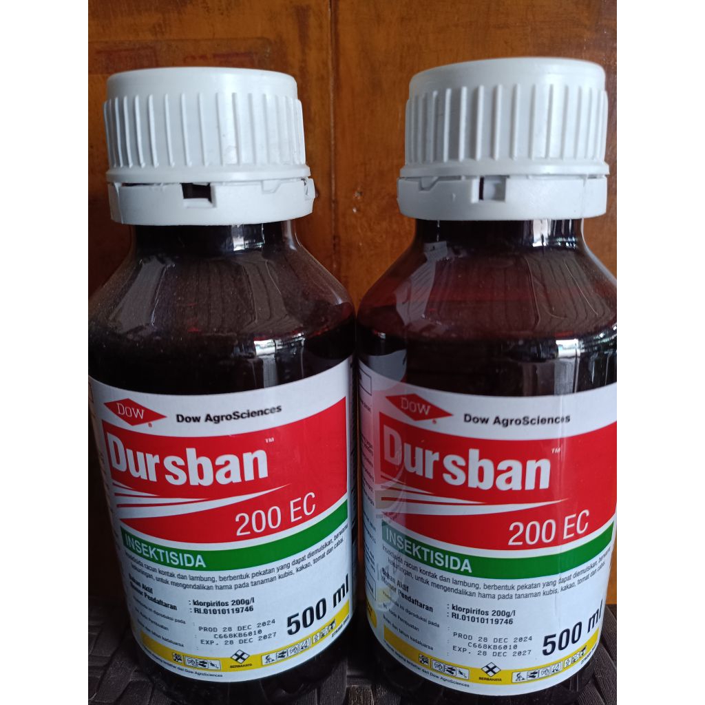 Insektisida Dursban 500ml