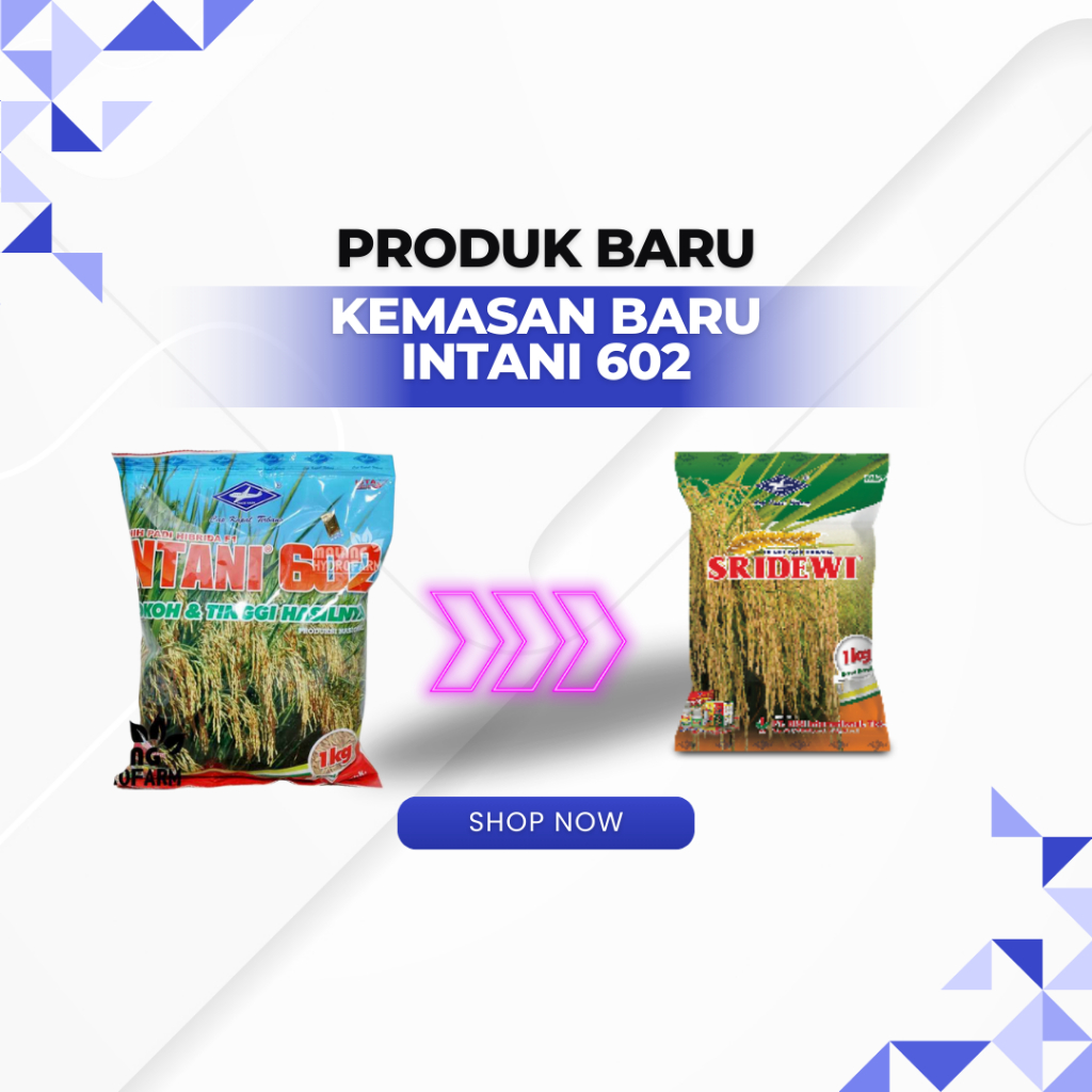 BENIH PADI HIBRIDA INTANI 602 BIBIT PADI KEMASAN 1 KG