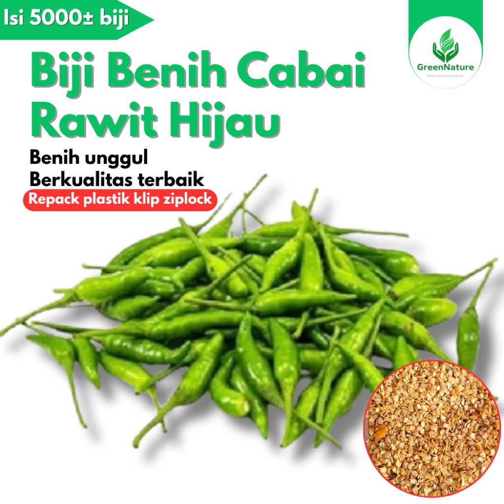 5000± BIJI BENIH CABAI RAWIT HIJAU