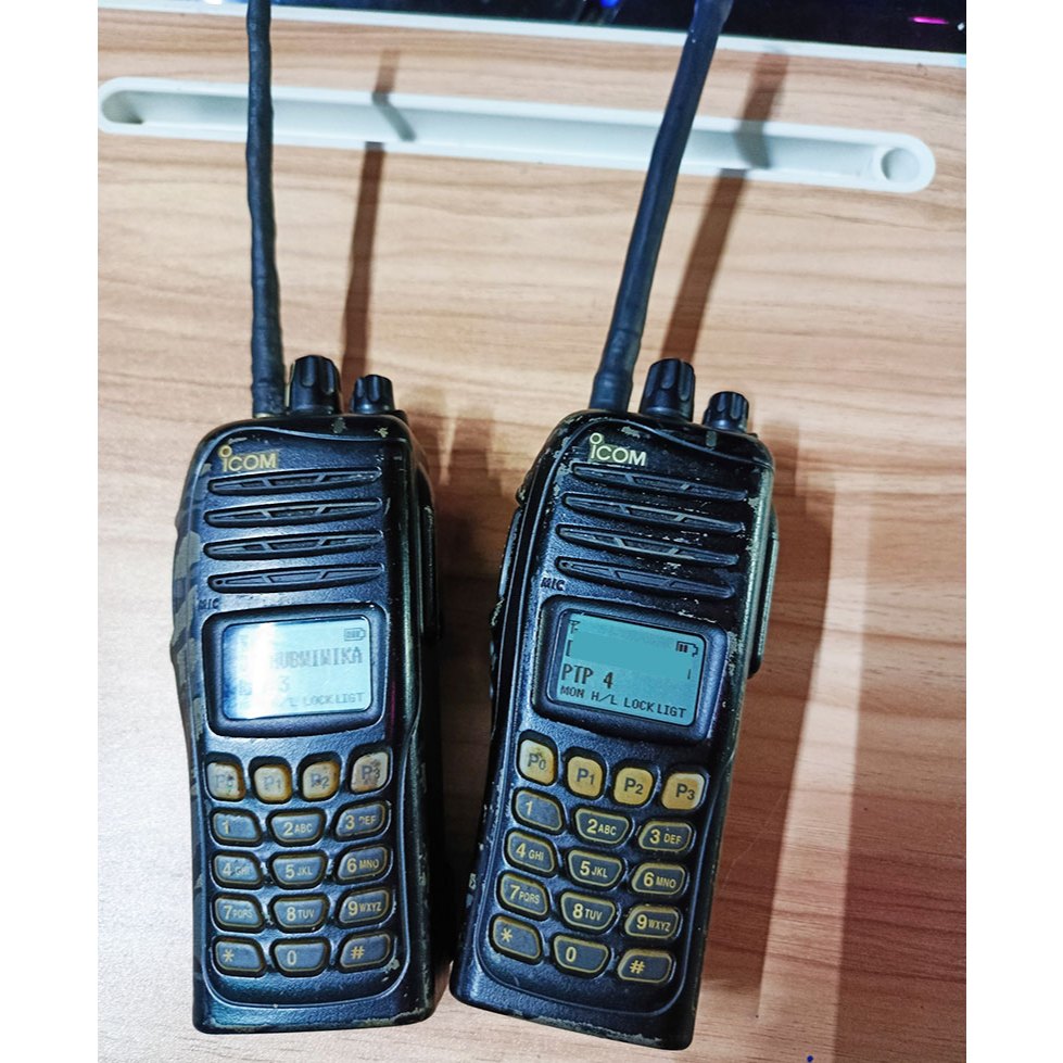 Icom F4167DT